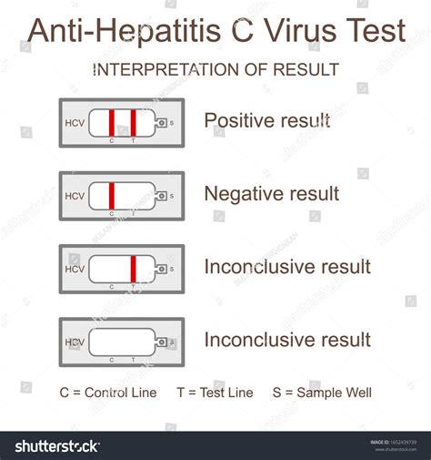 what does a 0.1 hep c result mean|Tests for Hepatitis C: Understanding Hep C Lab Results.